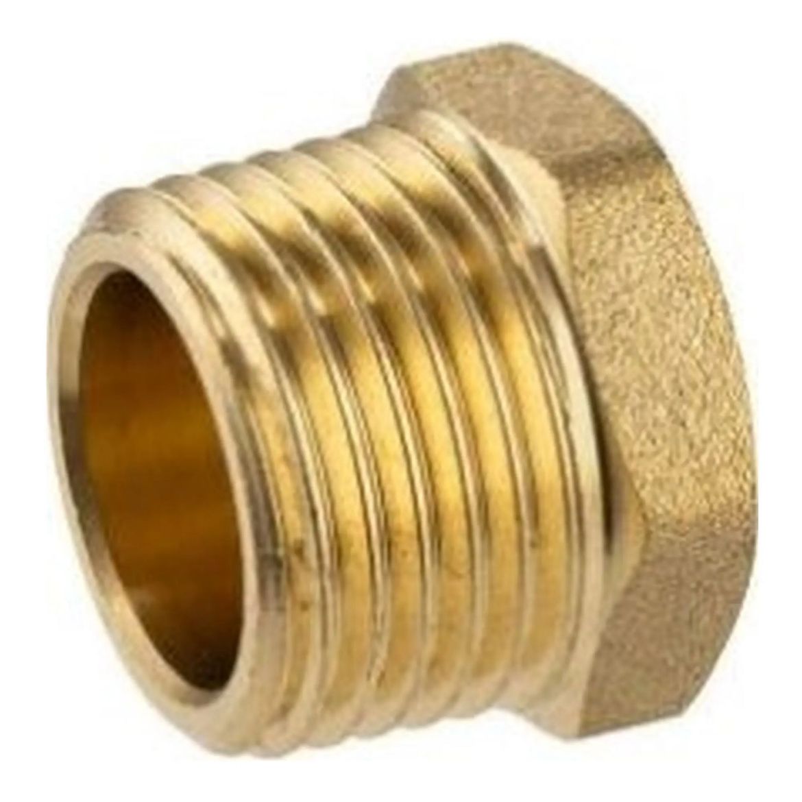 Picture of 1" Brass End Plug